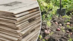 そろそろ準備を:古新聞を庭や家庭菜園で活用する方法――実は意外と役に立つ