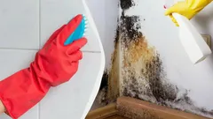 黒カビがみるみる消える：清掃員があえて教えない裏ワザ