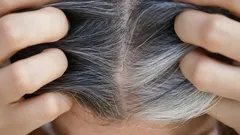 白髪と若々しさ：年齢に抗うヘアカラー技術