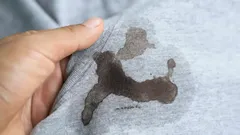 5分でどんなシミでも落とす方法:最新洗剤より効く昔ながらのやり方