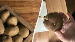 じゃがいもが6か月間芽も出ず、シワシワにもならない――正しい保存方法とは