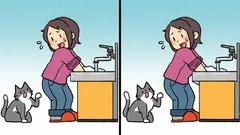 パズル:猫と女性の写真から19秒以内に3つの違いを見つけてください